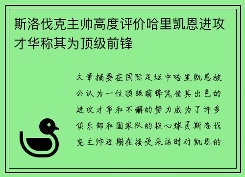 斯洛伐克主帅高度评价哈里凯恩进攻才华称其为顶级前锋